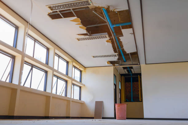 Best Professional water damage repair  in Hwatha, IA