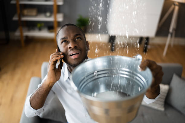 Best Flood damage cleanup  in Hwatha, IA