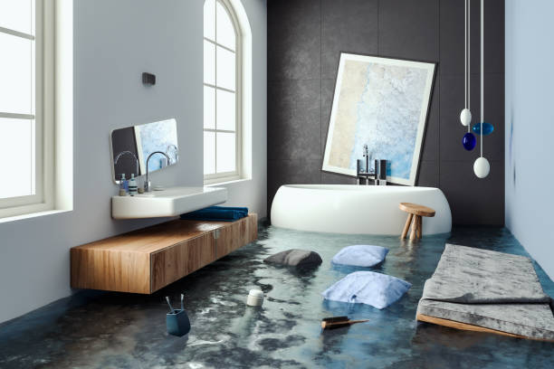 Best Local water damage restoration  in Hwatha, IA