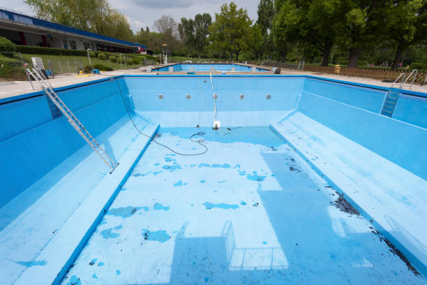Best Water damage restoration insurance claims  in Hwatha, IA
