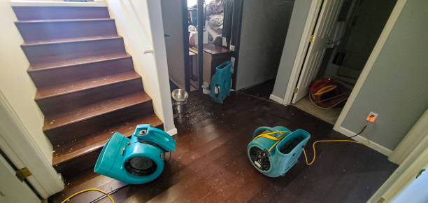Best Fire Damage Restoration  in Hwatha, IA