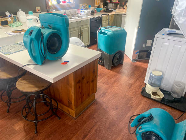 Best Commercial water damage restoration  in Hwatha, IA