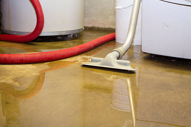 Best Basement water damage restoration  in Hwatha, IA