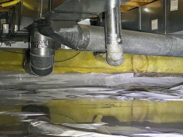 Best Water damage restoration specialists  in Hwatha, IA