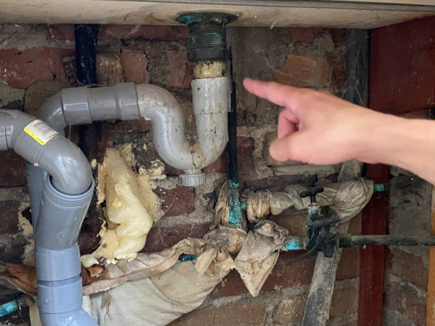 Best Water damage restoration near me  in Hwatha, IA