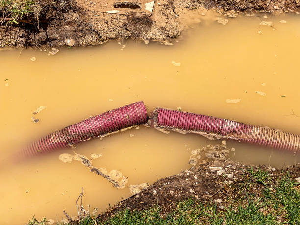 Best Water damage restoration near me  in Hwatha, IA