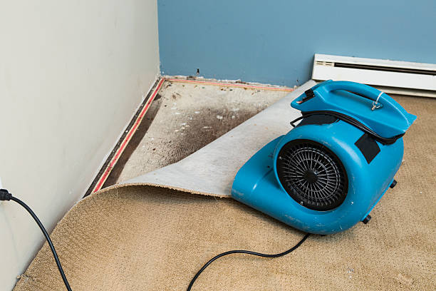 Best Emergency water damage restoration  in Hwatha, IA